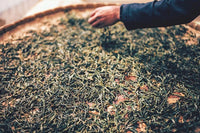 2015 Ancient Tree Raw Pu-erh Tea Cake – 357g Sheng Pu’er from Premium Old-Growth Trees 5-Year Naturally Aged Layered Taste, Sweet Finish Collectible Tea from Veteran Factory